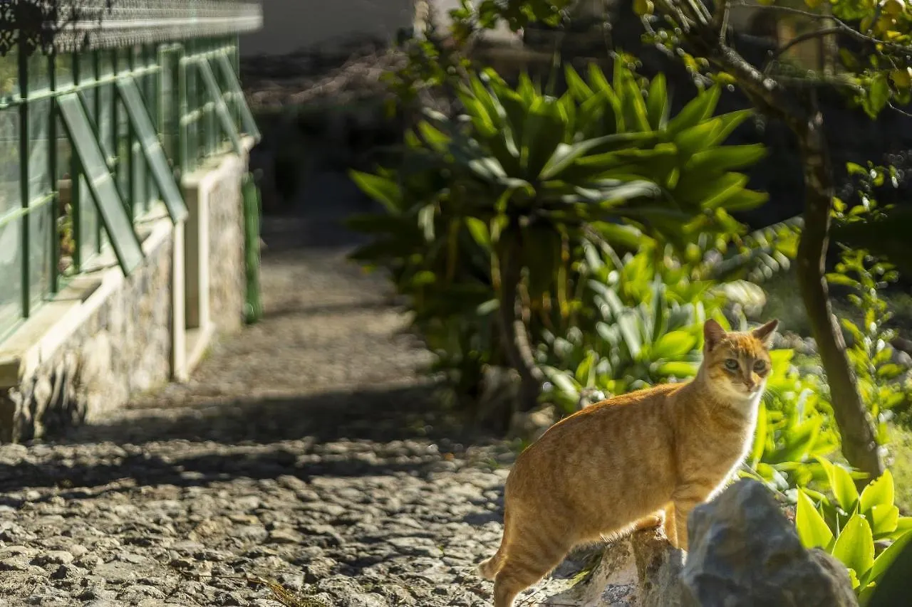 Sintra Marmoris Palace Guest house